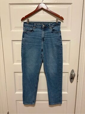 American Eagle Women’s Size 8 Regular Blue Denim Mom Jean